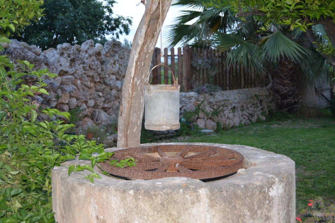 Agroturismo Finca Son Amora Palma de Mallorca Ngoại thất bức ảnh