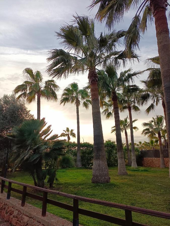Agroturismo Finca Son Amora Palma de Mallorca Ngoại thất bức ảnh