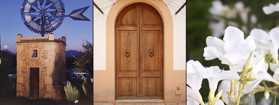 Agroturismo Finca Son Amora Palma de Mallorca Ngoại thất bức ảnh